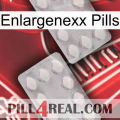 Enlargenexx Pills 17